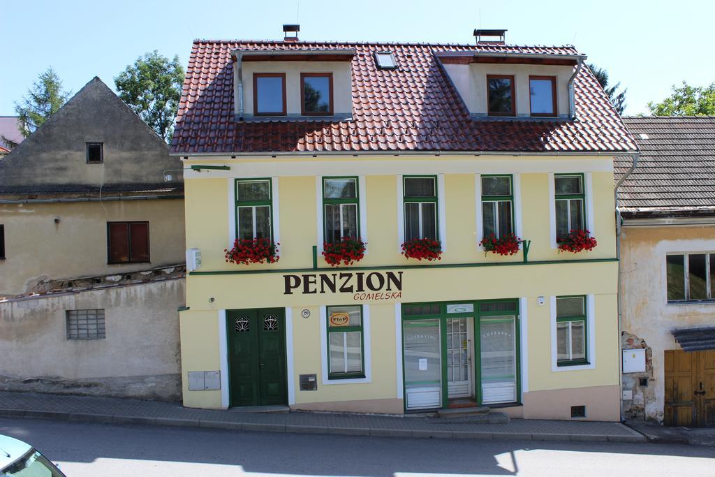 Ferienwohnung Penzion Gomelská Horní Stropnice Exterior foto